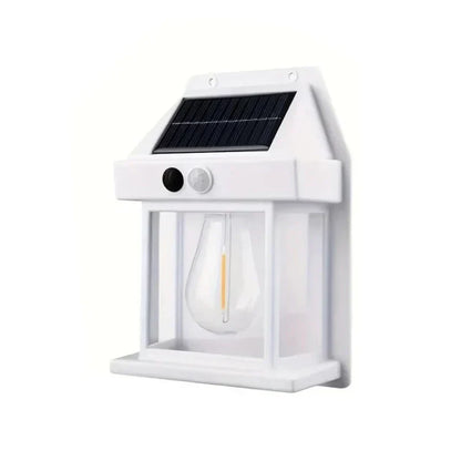 https://cdn.shopify.com/s/files/1/0965/8109/1655/files/a52cdd9a-3e37-4298-8cd7-bc75fc314623_dd03e935-6258-4591-88bd-cb80c6a04d9a.webp?v=1772119780