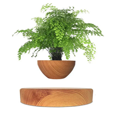 https://cdn.shopify.com/s/files/1/0965/8109/1655/files/d83fe5ac-82f3-463e-b4a8-a206e5458b2c_b0461e89-f569-4f70-a267-09ccd0e68928.webp?v=1772119781